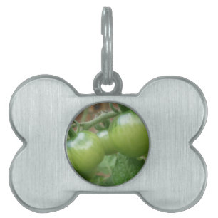 Médaillons Pour Animaux Domestiques Tag animal de compagnie de tomates vertes
