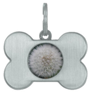 Médaillons Pour Animaux Domestiques Tag de l'animal de compagnie de fleur de Dandelion
