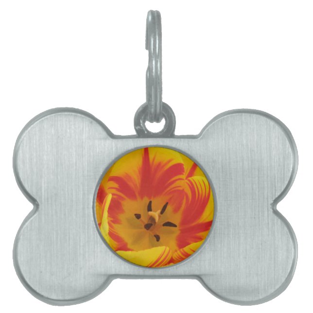 Médaillons Pour Animaux Domestiques Tag de marionnette Tulip Fiery (Devant)