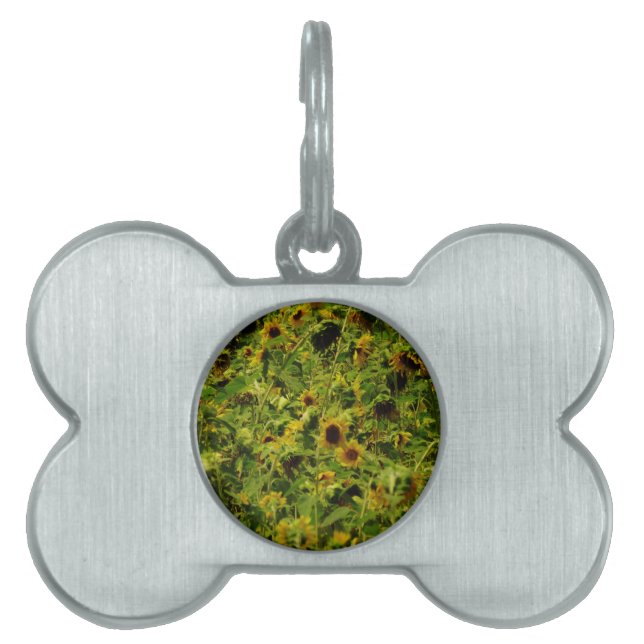 Médaillons Pour Animaux Domestiques Terrain de tournesol (Devant)