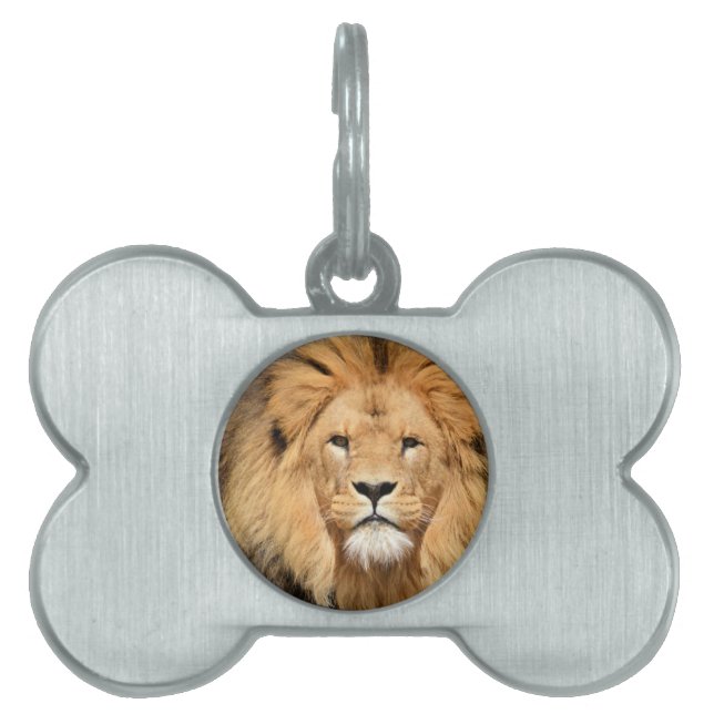 Médaillons Pour Animaux Domestiques Tête de Lions (Devant)