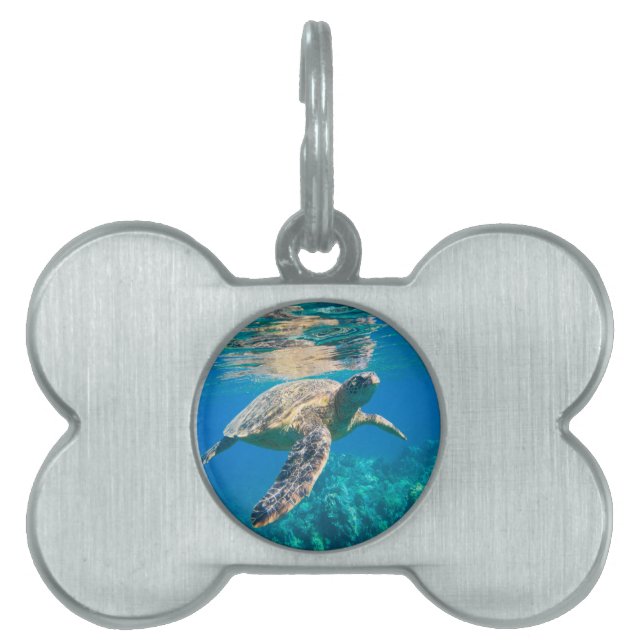 Médaillons Pour Animaux Domestiques Tortue de mer (Devant)