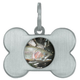 Médaillons Pour Animaux Domestiques Truite arc-en-ciel
