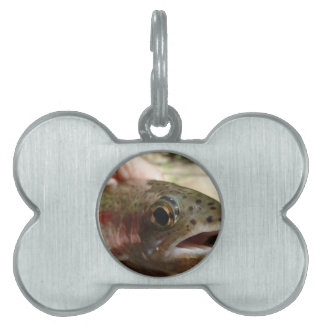 Médaillons Pour Animaux Domestiques Truite en main