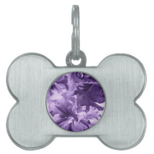 Médaillons Pour Animaux Domestiques Violettes monochromes