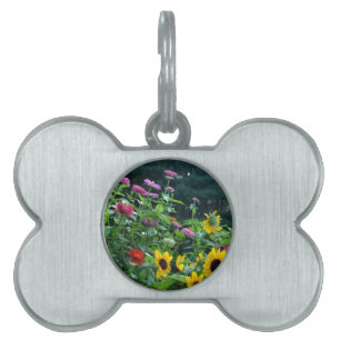 Médaillons Pour Animaux Domestiques Vue jardin, marguerites, cosmos, tournesols