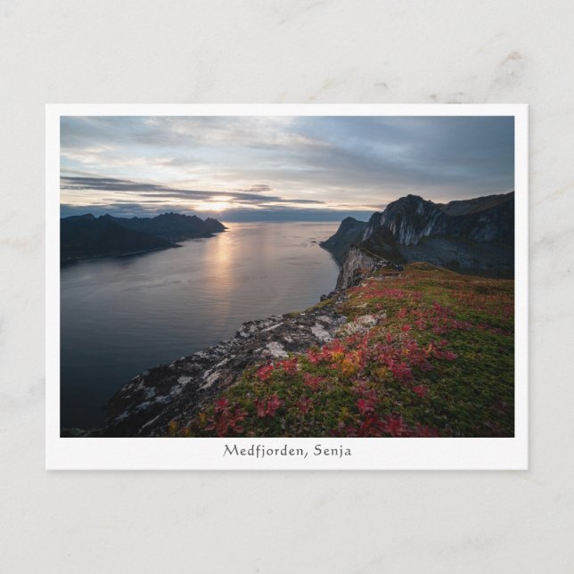 Medfjorden Norwegen Postkarte (Vorderseite)