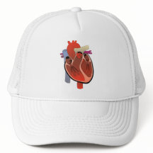 MEDICAL DRAWING OF ANATOMICAL HEART