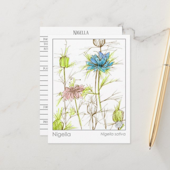 Medical Herb Study Card Nigella Wildblume Postkarte (Vorderseite/Rückseite Beispiel)