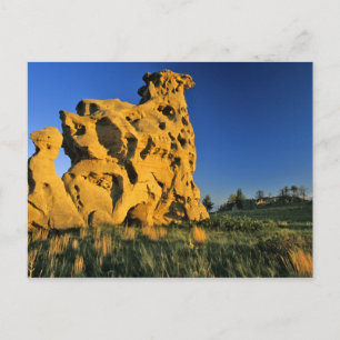 Medici Rocks Staat Park/Garten: Postkarte
