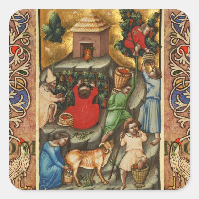 MEDIEVALISIERTE WEINHALBUNG HARVEST Antique Grapev Quadratischer Aufkleber (Vorderseite)