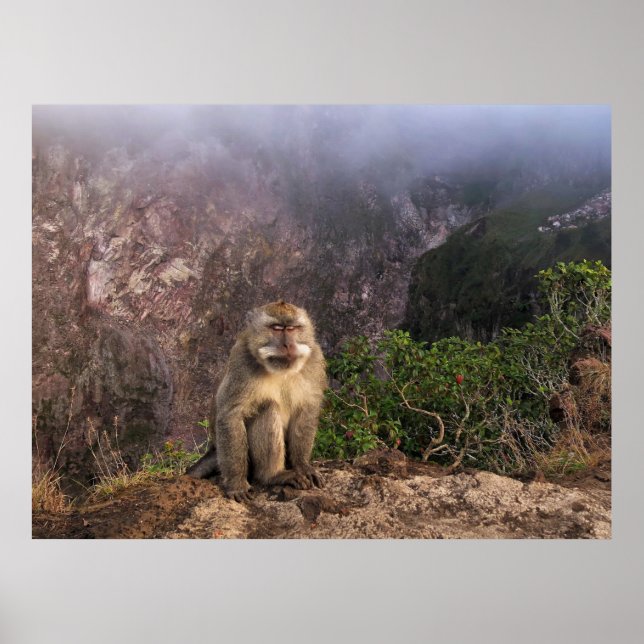 Meditating Macaque in the Mist Poster (Vorne)