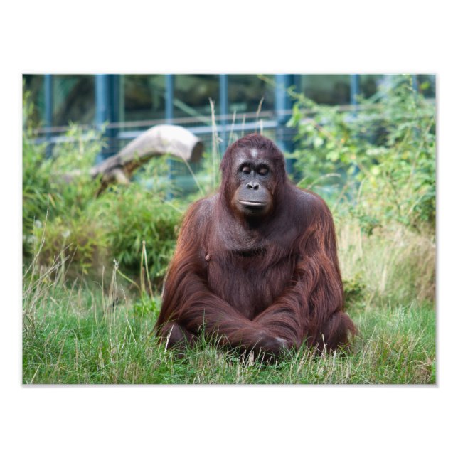 Meditation Fotodruck (Vorne)