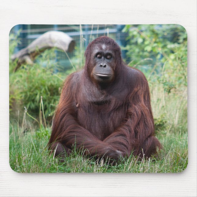 Meditation Mousepad (Vorne)