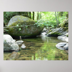 Meditation Pool print Poster