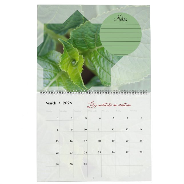 Meditationskalender Garten: Sterne & Noten Kalender (Mär 2026)