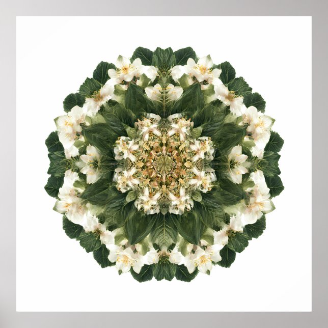 Meditative Sacred Geometry: Fractal Flora Poster (Vorne)