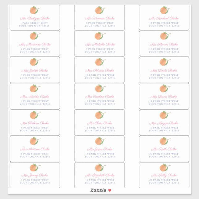 Mediterranean Citrus Pink Guest Envelope Adresse Aufkleber (Blatt)
