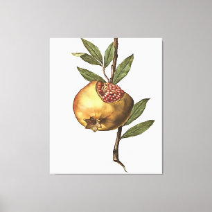 Mediterranean Pomegranate Fruit And Seeds  Leinwanddruck