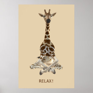Meditierende Giraffe Poster