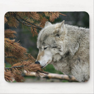 Meditierender Wolf Mousepad