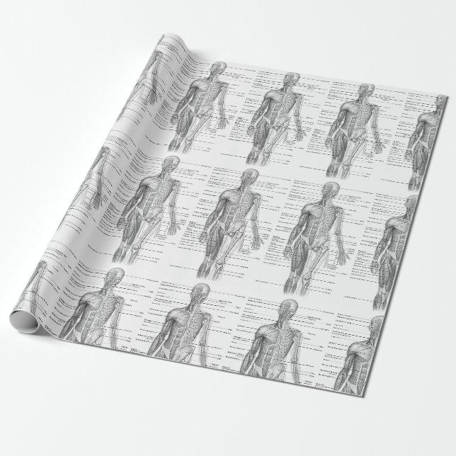 Medizinische Darstellung der Anatomie des Menschen Geschenkpapier (Ungerollt)