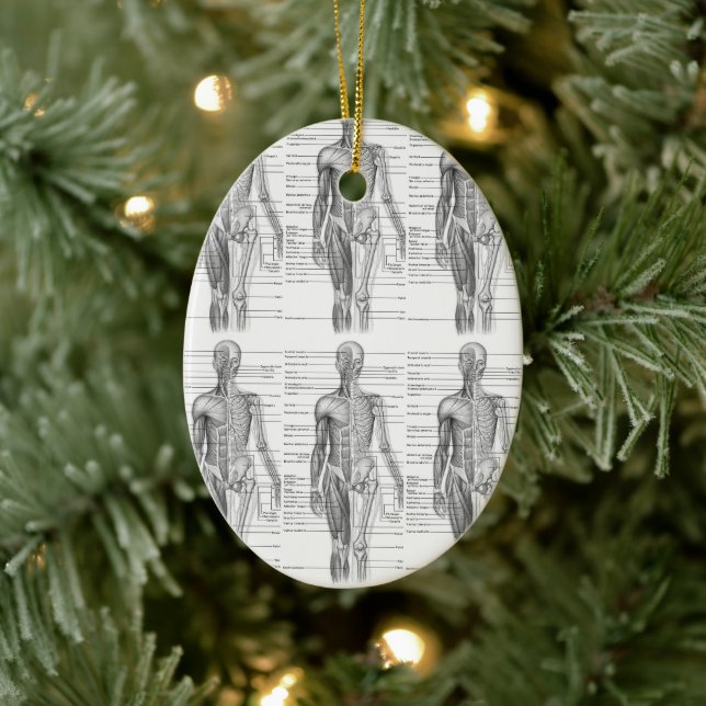 Medizinische Darstellung der Anatomie des Menschen Keramik Ornament (Baum)