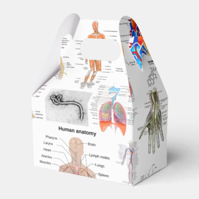 Medizinische Diagramme der Anatomie des Menschen Geschenkschachtel (Vorderseite)