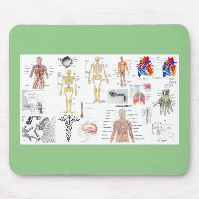 Medizinische Diagramme der Anatomie des Menschen Mousepad (Vorne)