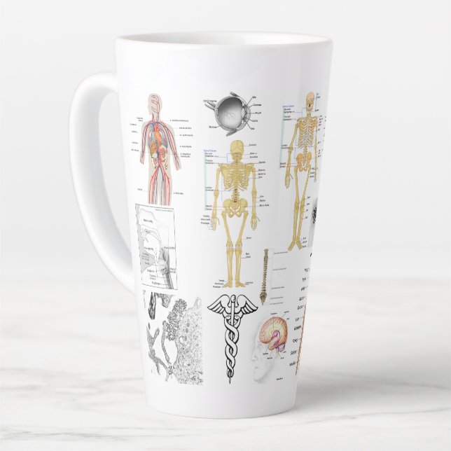 Medizinische Diagramme in voller Farbe Milchtasse (Linke Ecke)