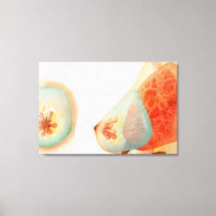 Medizinische Illustration der weiblichen Brust Leinwanddruck
