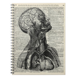 Medizinische menschliche Anatomie Notizblock