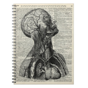 Medizinische menschliche Anatomie Notizblock