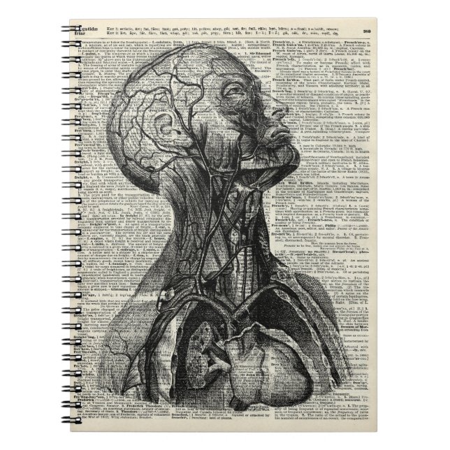 Medizinische menschliche Anatomie Notizblock (Vorderseite)