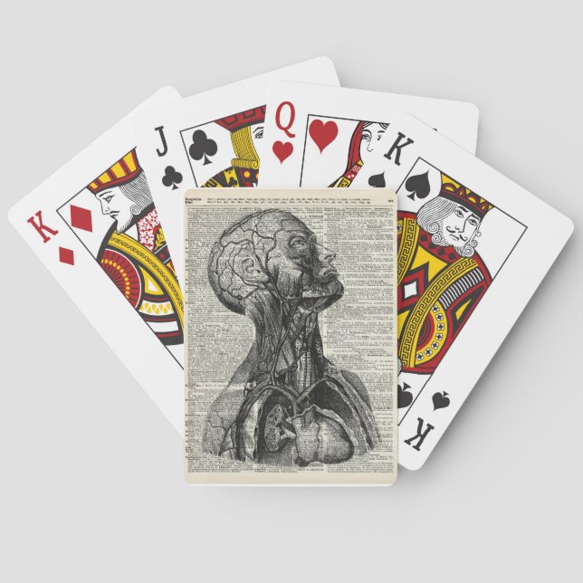 Medizinische menschliche Anatomie Spielkarten (Rückseite)