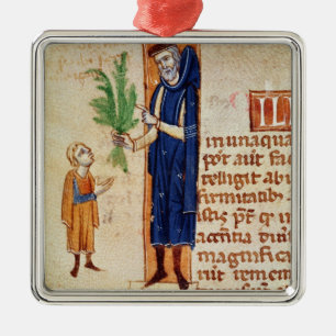 Medizinische Pflanzen Silbernes Ornament