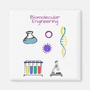 Medizinischer Ingenieur für Biomolekulare Magnet