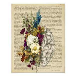 medizinisches Blumen-Gehirn-Anatomie-Poster Fotodruck
