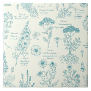 Medizinisches Gartenherbarium in Blau und Cremewei Fliese