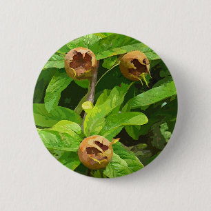 MEDLAR OBST BUTTON