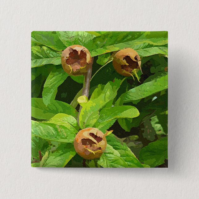 MEDLAR OBST BUTTON (Vorderseite)