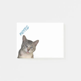 Meece Kitty mit blauen Augen Post-it Klebezettel