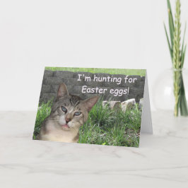 Meece, welches die Osterhasen-Gruß-Karte jagt Feiertagskarte