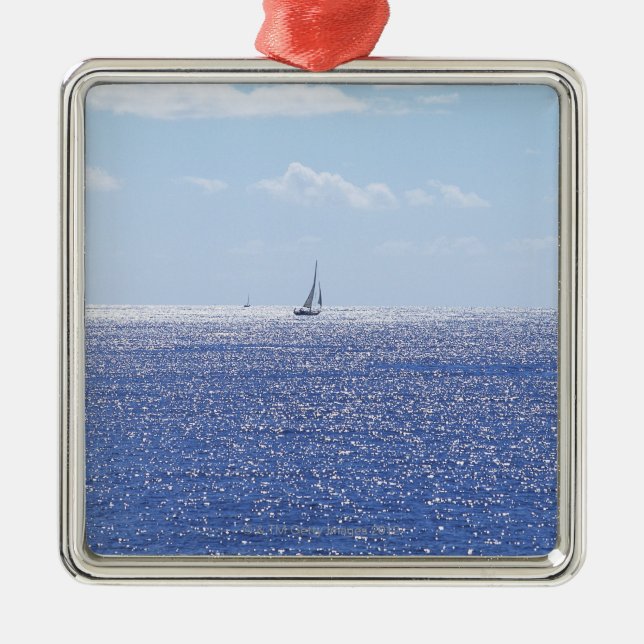 Meer 6 silbernes ornament (Vorne)