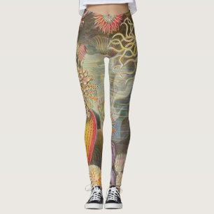 Meer Anenomes durch Ernst Haeckel Leggings