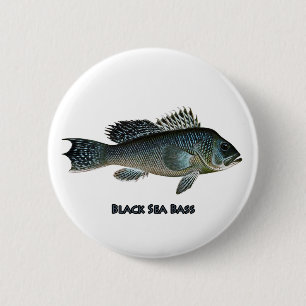 Meer-Baß Button