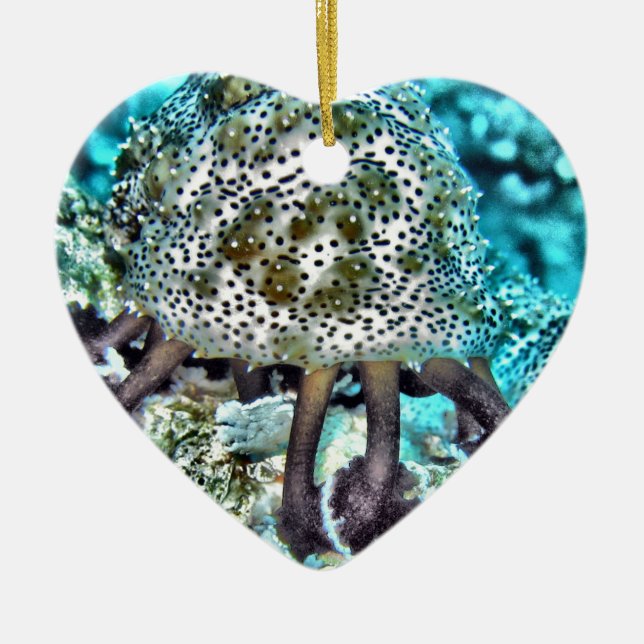 Meer Cucumber.jpg Keramikornament (Vorne)