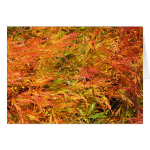 Meer der Fall-Farbe