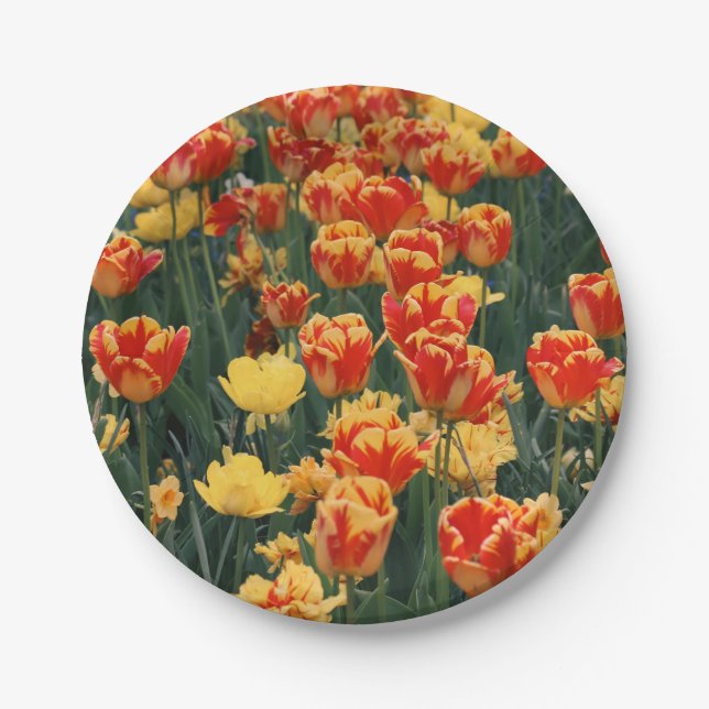 Meer der feuerischen Blume Pappteller (Vorderseite)