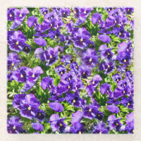 Meer der Stille: Das wunderschöne Lila Pansy-Feld